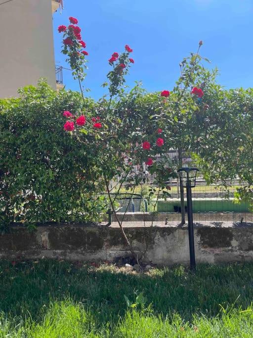 Casa Ale 5 Terre Guest House Con Giardino La Spezia Extérieur photo